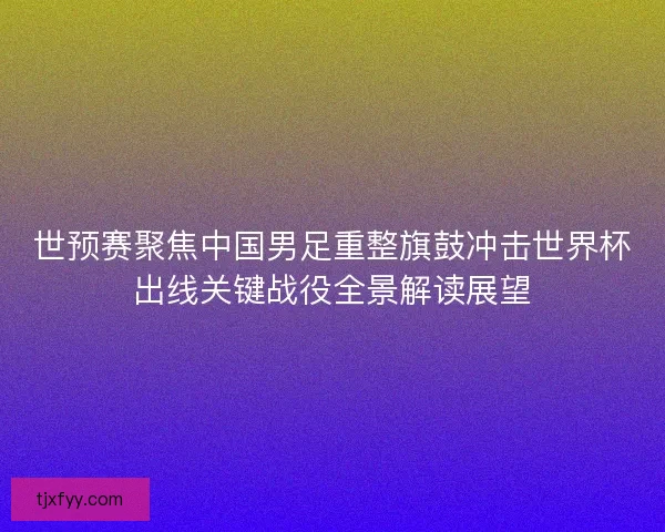 世预赛聚焦中国男足重整旗鼓冲击世界杯出线关键战役全景解读展望