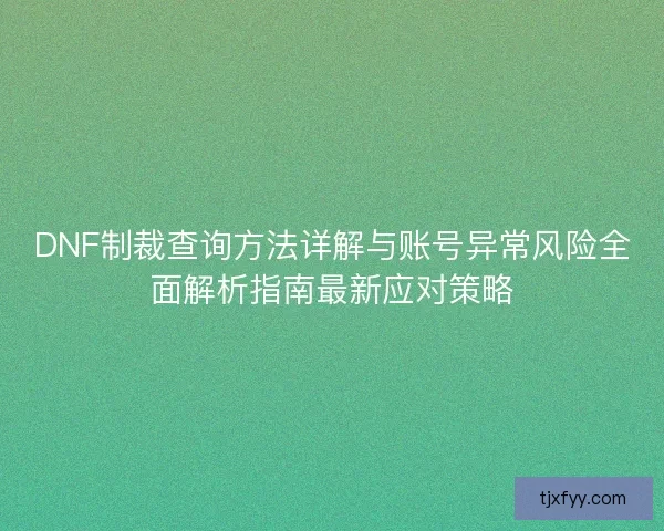 DNF制裁查询方法详解与账号异常风险全面解析指南最新应对策略
