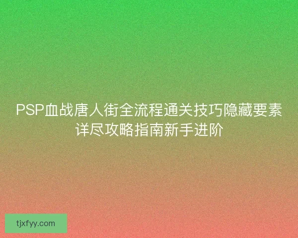PSP血战唐人街全流程通关技巧隐藏要素详尽攻略指南新手进阶