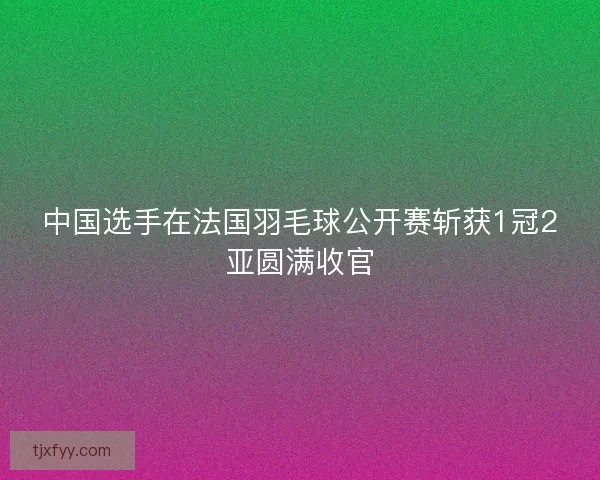 中国选手在法国羽毛球公开赛斩获1冠2亚圆满收官